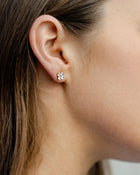 Delicate with a hint of sparkle. These charming Castel & Co Clover studs are adorned with petite diamantes for a subtle shimmer. A timeless style that brings just enough shine for everyday wear or a refined finish to evening looks.

Main material: gold plating, stainless steel
Closure type: stud
Earrings size: 0,5 x 0,5 cm
Inserts: cubic zirconia
Waterproof and hypoallergenic
Weight: 1g