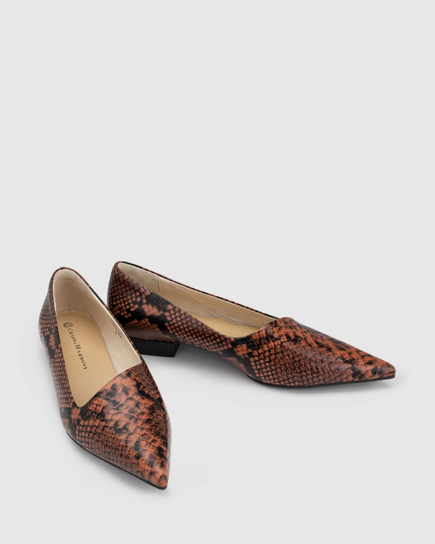 CHAOS &amp; HARMONY | DYNASTY FLAT
The DYNASTY FLAT in Coco Snake is a striking embossed pointed flat in deep chocolate and black tones. With an angled upper and elegant profile, this flat brings texture and edge to both office and off-duty outfits.
Coco snake embossed leather pointed flat
Soft leather lined
Black stack heel / Black rubber outsole
20mm / 0.78 inch heel
Smaller fit - if you are a half size, please size up
