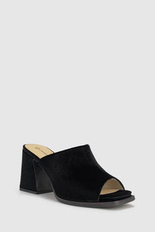 CHAOS & HARMONY | MYSITFY MULE