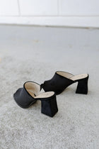 CHAOS & HARMONY | MYSITFY MULE