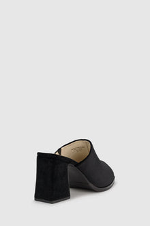 CHAOS & HARMONY | MYSITFY MULE
