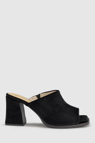CHAOS & HARMONY | MYSITFY MULE