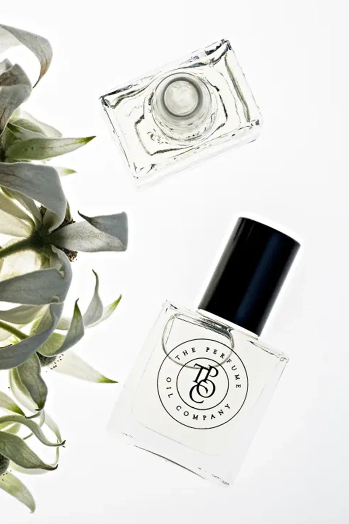 The Perfume Oil Company White Fig is inspired by Philosykos (Diptyque)

Crisp, Green and Fresh

Notes of Fig, Coriander, Black Currant, Coconut, Cedar &amp; Benzoin

10ml