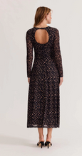 Load image into Gallery viewer, ZADIE MESH MAXI DRESS
